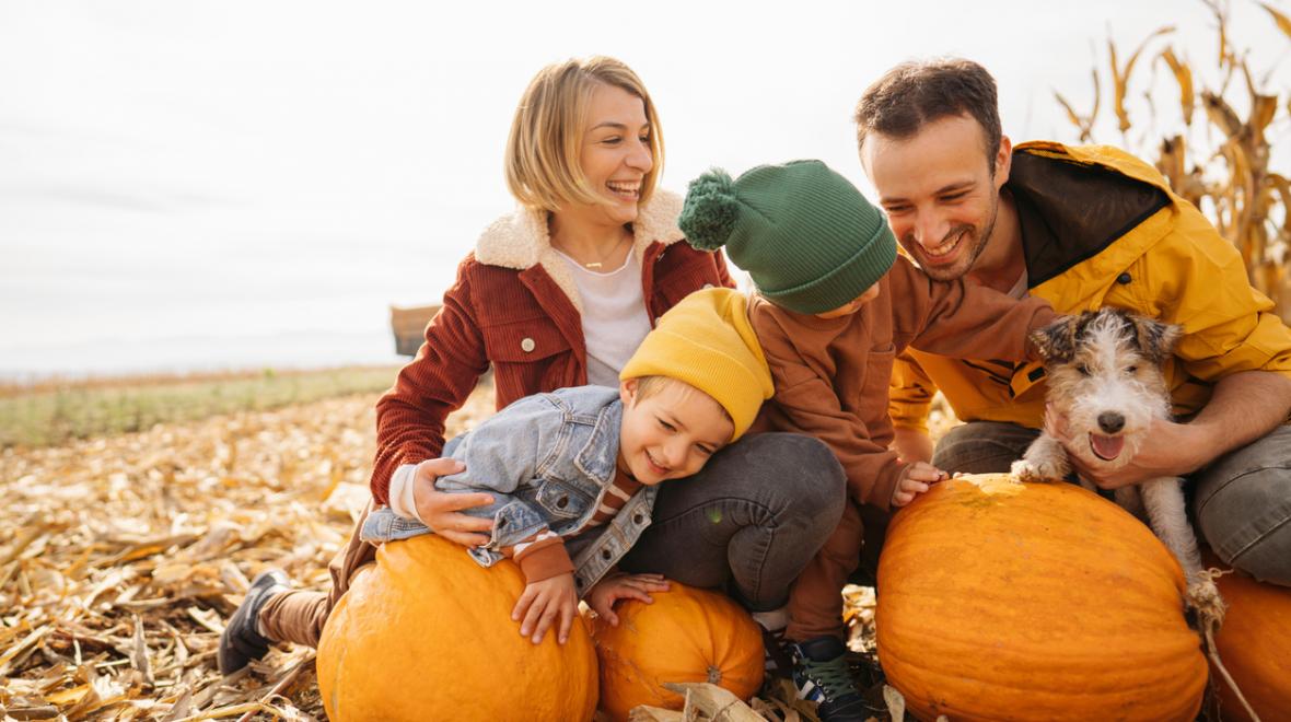 laughing family of four crouched on straw with some pumpkins and a dog
