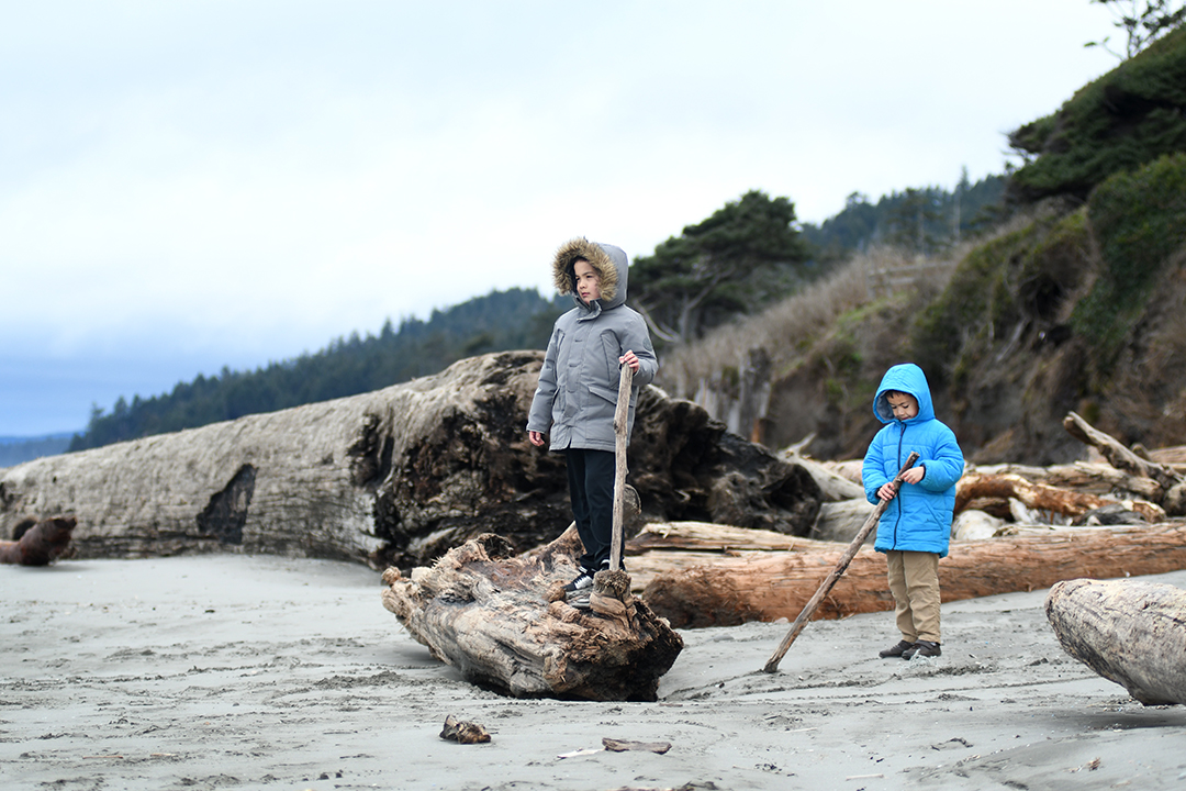 Two boys playing in driftwood on the beach on Washington's Pacific Ocean beach on the Olympic Peninsula