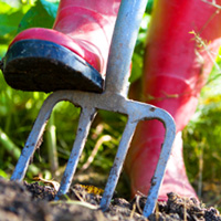 Tips for gardening as a family