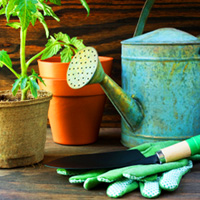 Gardening how-tos for families
