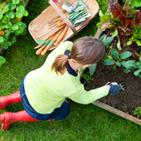Tips for gardening in the Puget Sound