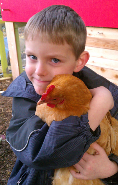 Traci Fontyn's son with one of their urban chickens