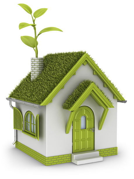How to make your home more green and safe for kids