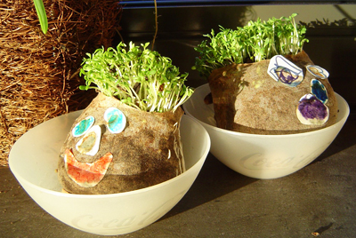 Christmas homemade Chia pets by Little Home on the Hill
