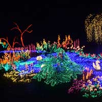 Garden D'lights Bellevue