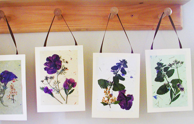 Pressed flower handmade cards by Mom in Madison