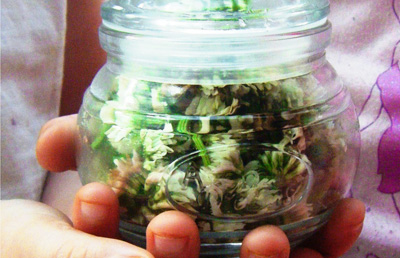 Collecting jars full of spring by Let the Children Play