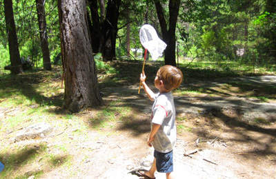 Bug hunt for kids by Go Explore Nature