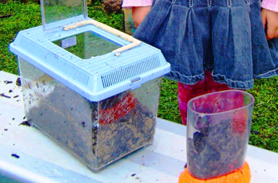 Homemade worm farm by Let the Children Play
