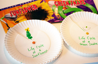 Paper plate life cycle spinners by Let's Explore