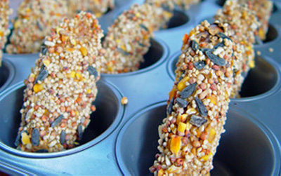 Earth Day bird treats by Full Circle
