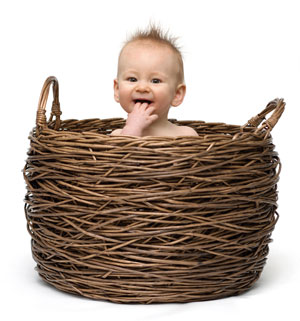 basket baby