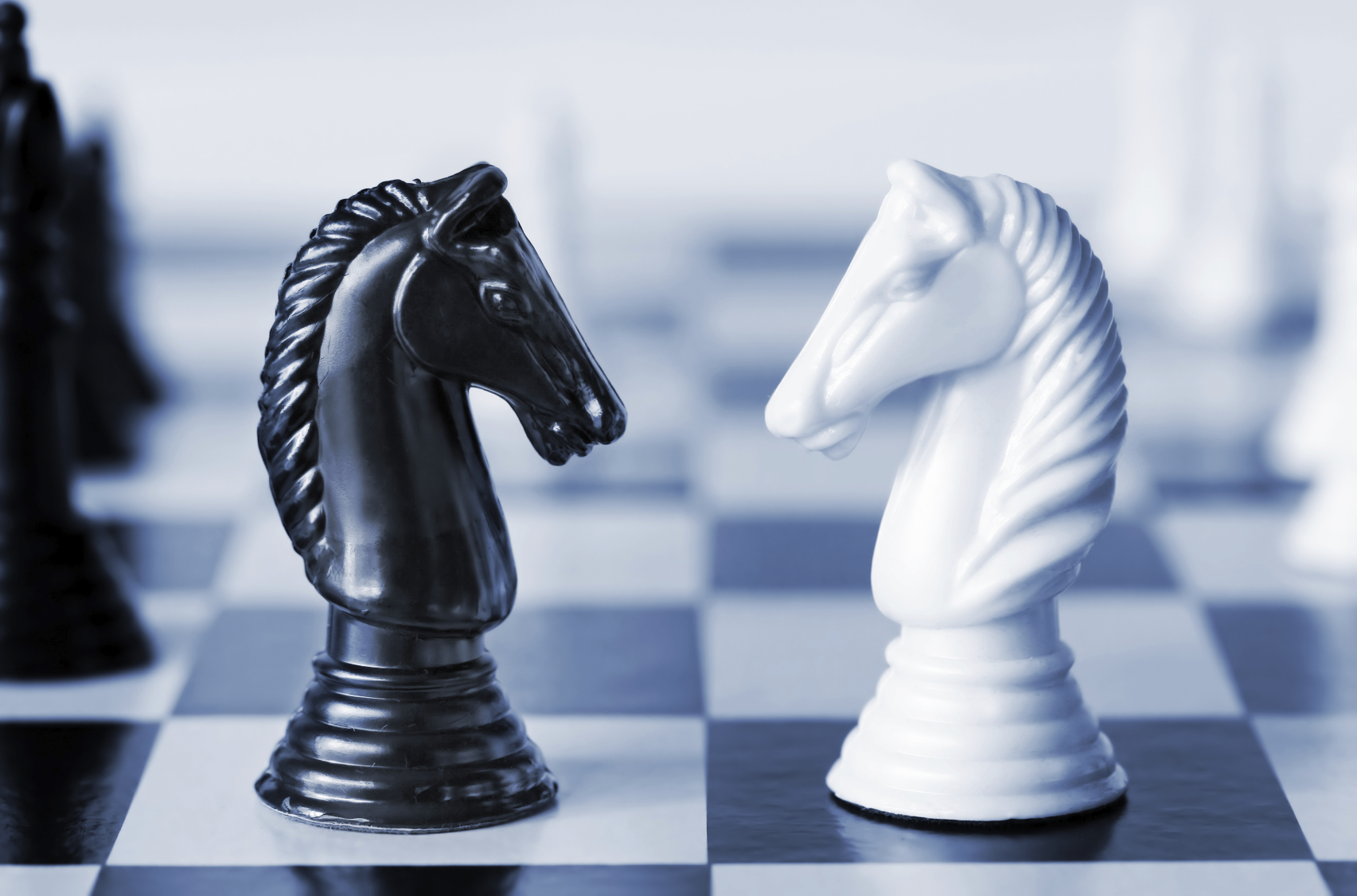 black and white chess pieces knights facing off