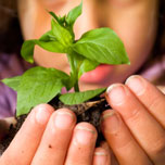 Eco-friendly savings Eco-friendly savings