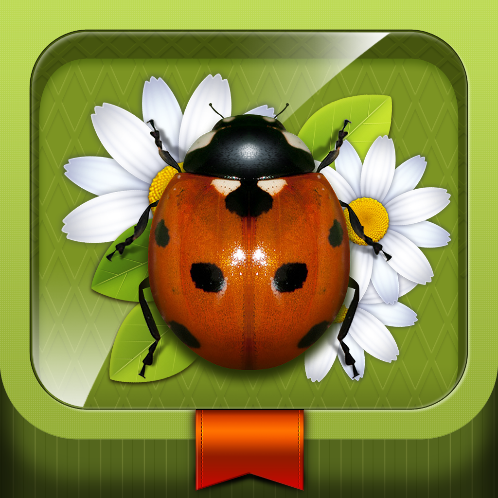 meet the insects ipad app
