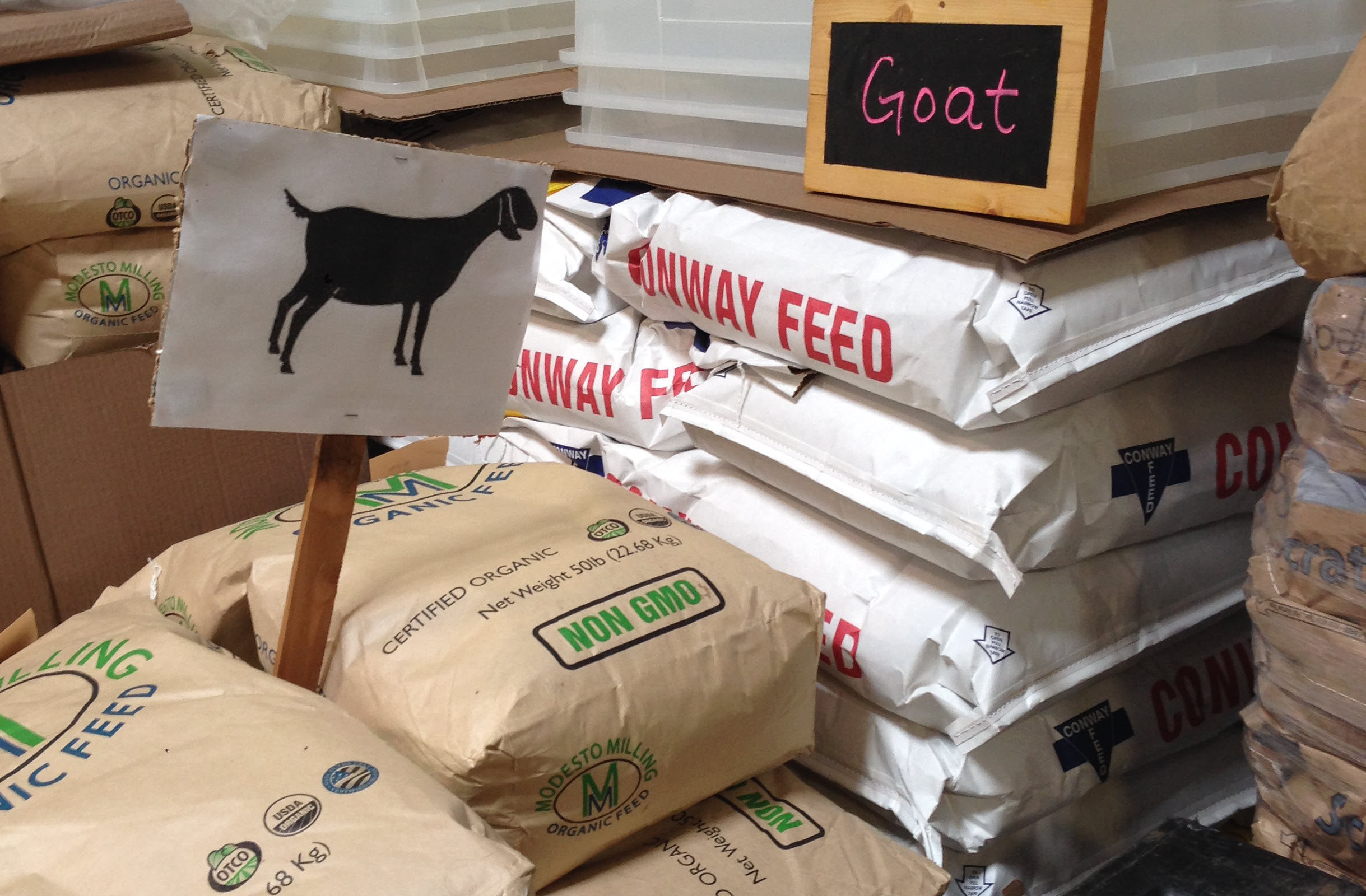 Goat feed at Seattle Farm Co-op