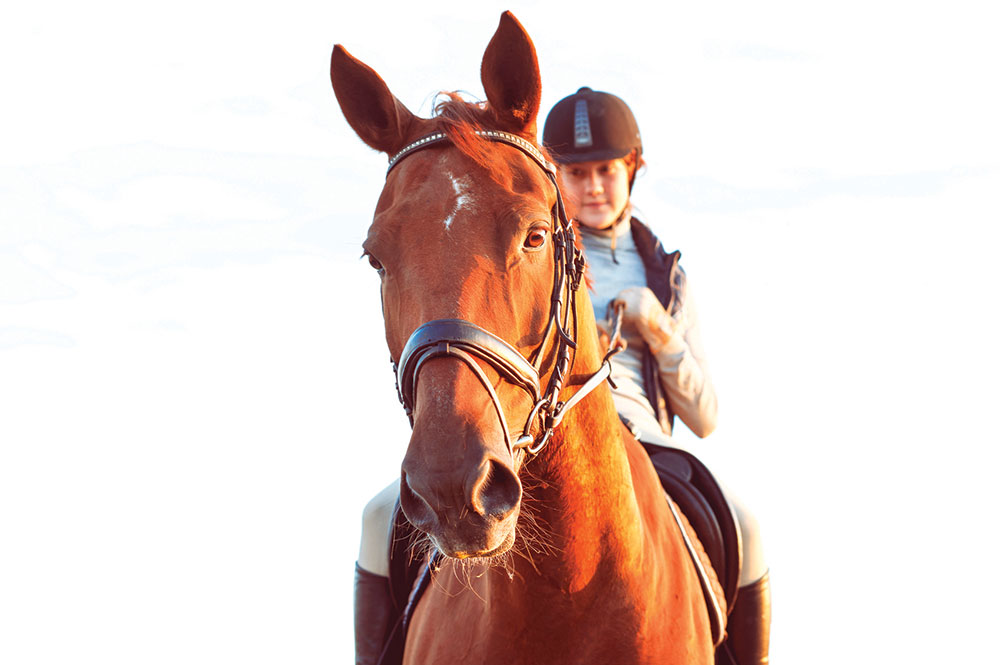 horse riding girl