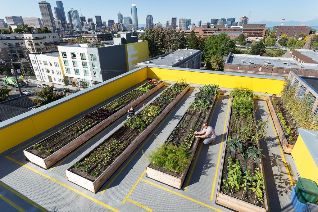 The rooftop garden at Capitol Hill Urban Cohousing