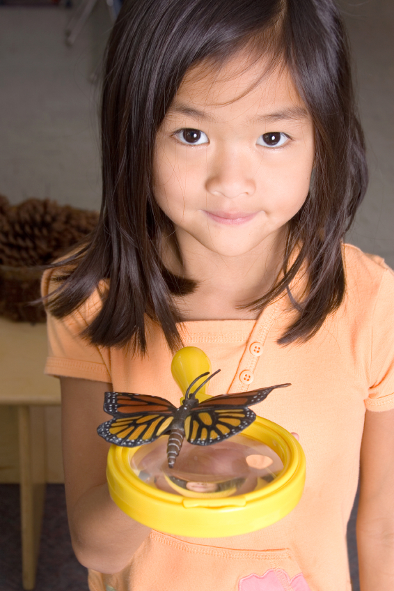 preschool girl holding butterfly and magnifying glass