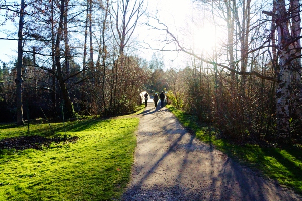 Washington Park Arboretum Bike Path in Seattle - photo by Allison Holm