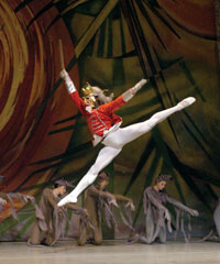 The Nutcracker