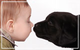 Pets and babies