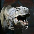 Dinos