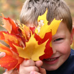 leaf