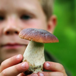 Mushroomboy_150x150.jpg
