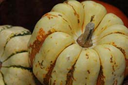 sweet dumpling squash