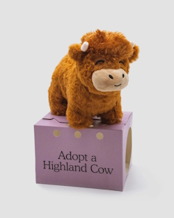 "Henry the Highland Cow stuffed toy"