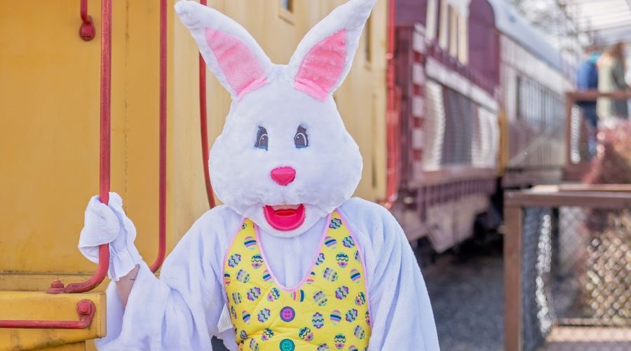 The Easter Bunny hops aboard the Chehalis-Centralia Railroad EggspressTrain