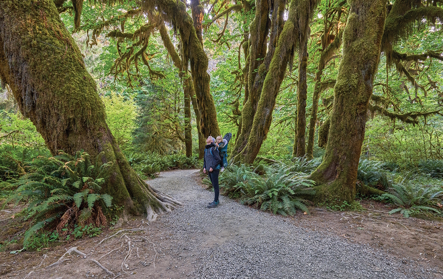 "Hoh rain forest Olympic peninsula with kids"