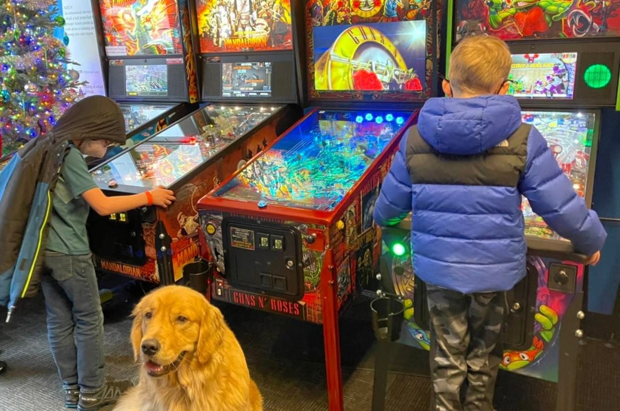Kids play pinball at the Seattle Pinball Museum in the International District; a dog is shown in the foreground, the store dog