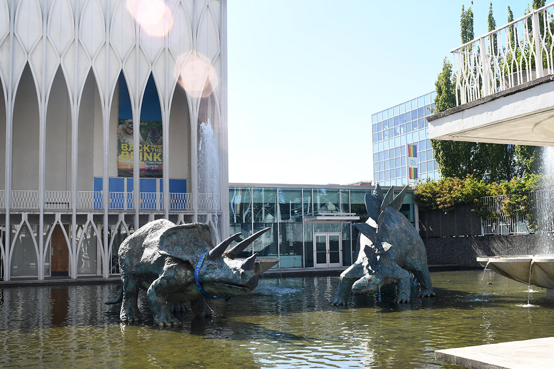 Original outdoor dinosaurs greet visitors to the Pacific Science Center, back open in summer 2022 after a two and half year pandemic closure
