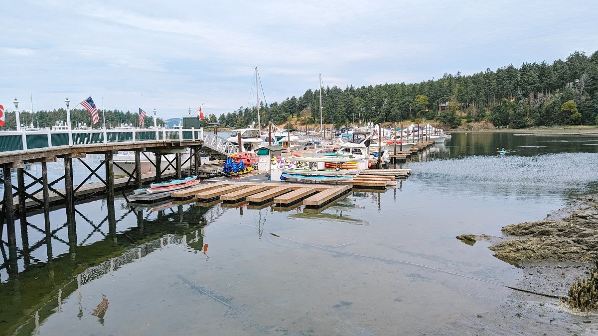 Kayaks docked at Roche Harbor on San Juan Island, the departure point for a family kayaking tour
