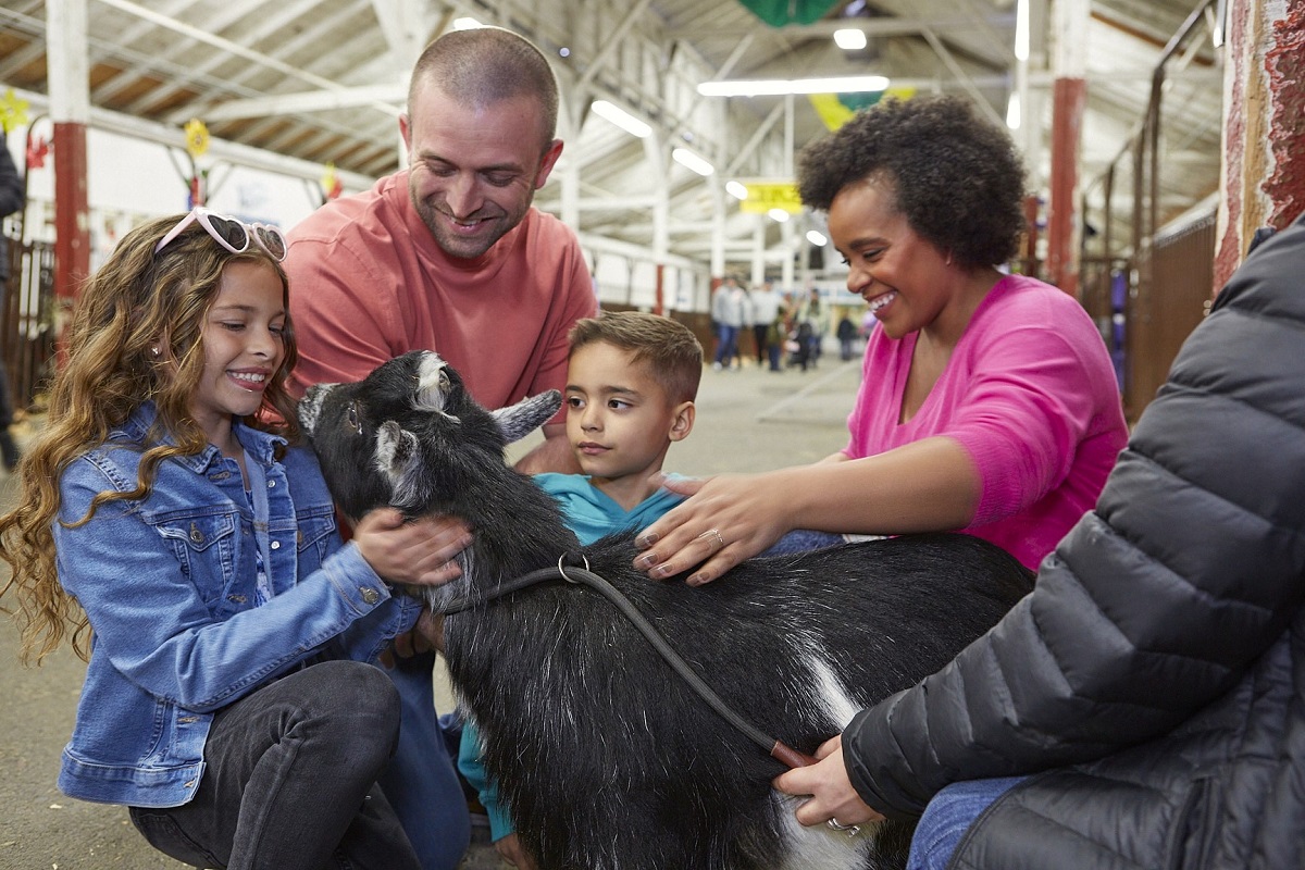 A family pets a goat at the Washington State Fair