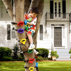 "Child climbing in a tree for summer fun in the yard"