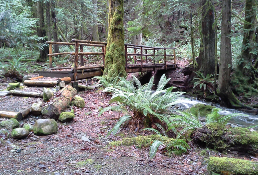 "Dosewallips State Park Olympic Peninsula with kids"