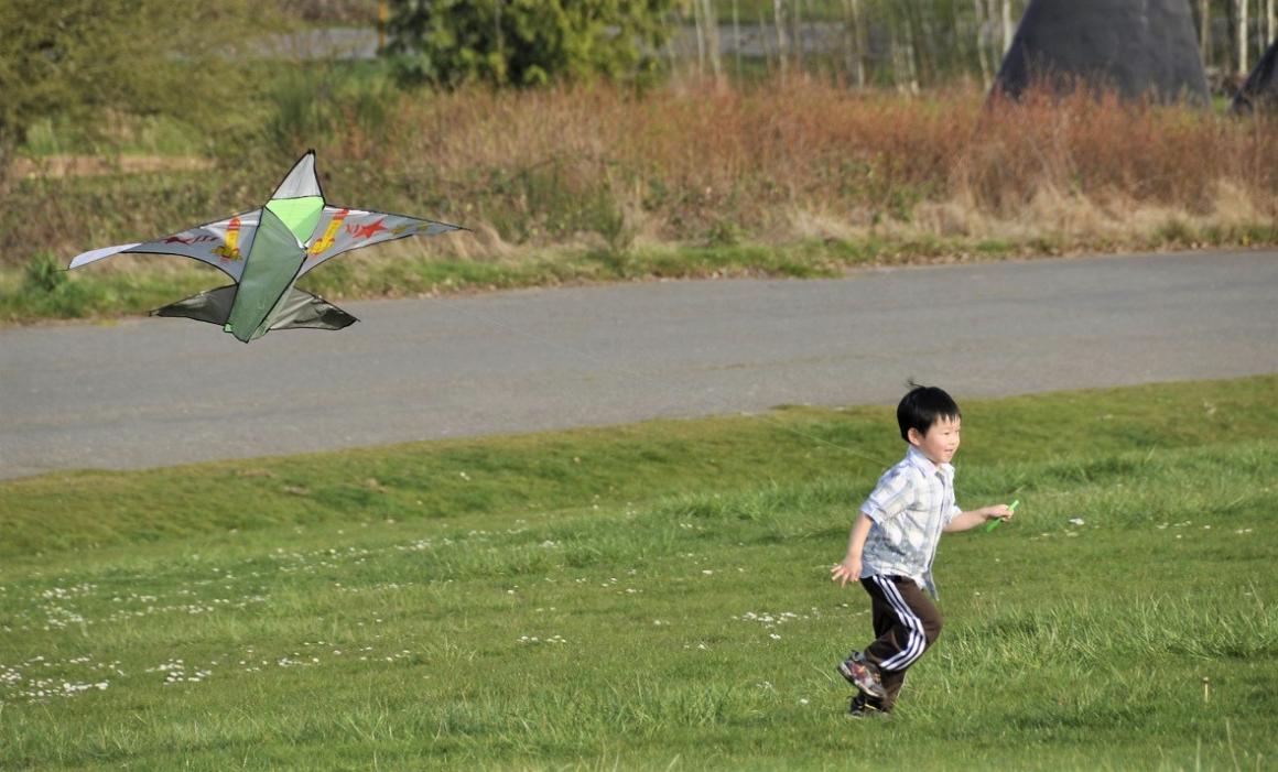 boy-flying-kite-magnuson-park-seattle-best-places-kites