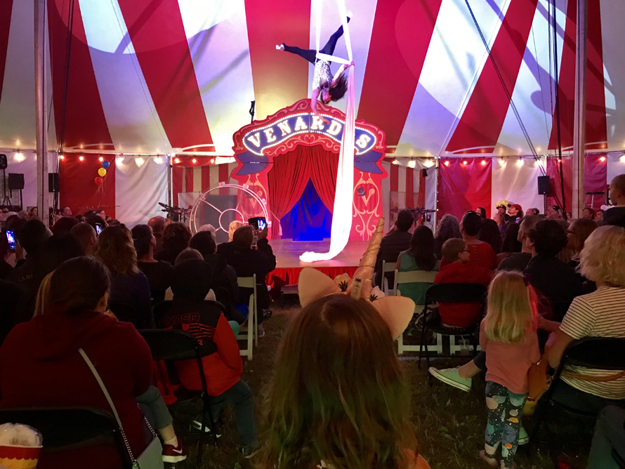 circus view from little girl