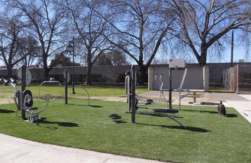 Georgetown playground adult exercise equipment