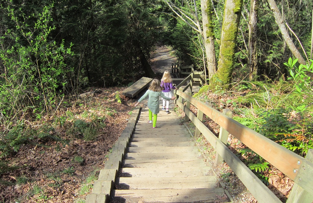 Staircase-walks-families-Bellevue-Eastside-Seattle-Kelsey-Creek-Farm-Park