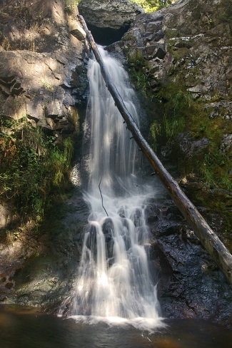 little mashel falls south sound area waterfall hikes for kids and families