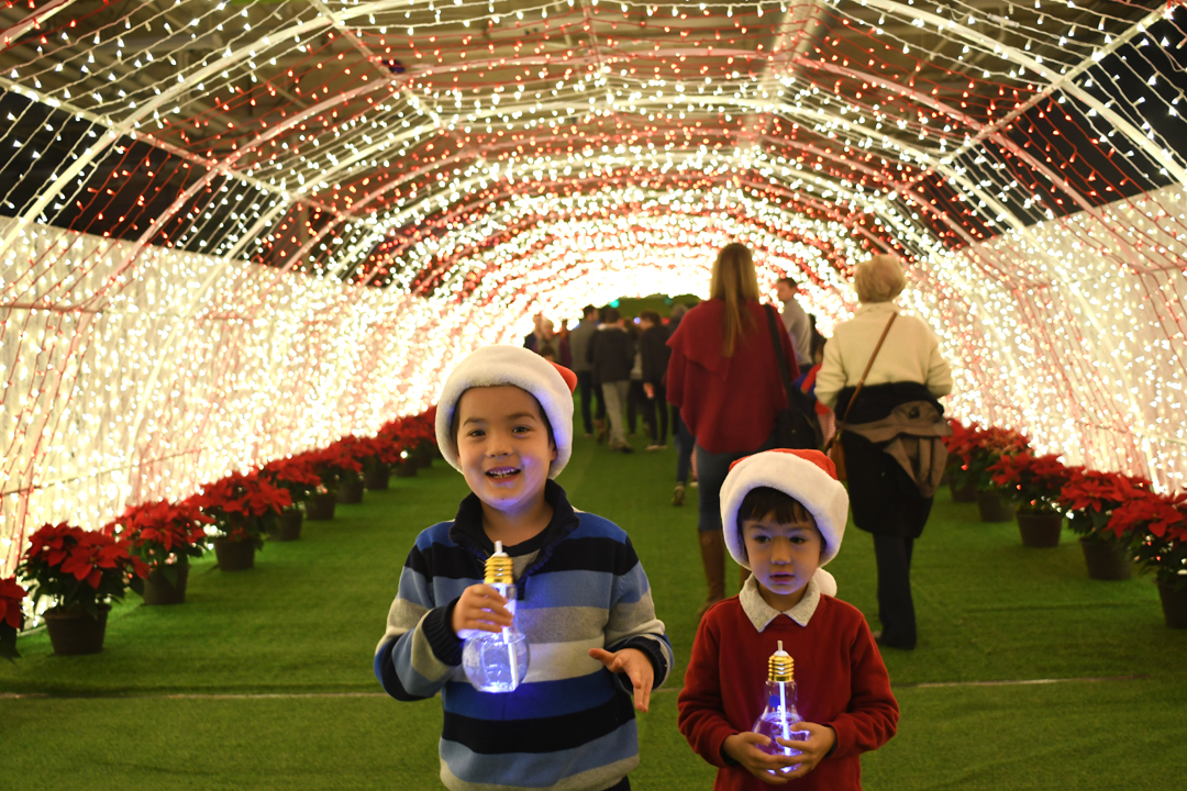 Lumaze-light-up-drinks-light-tunnel-seattle-review-kids-families