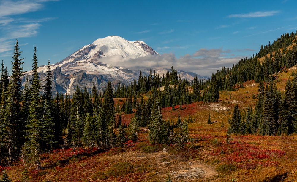 Mount-Rainier-fall-colors-every-kid-outdoors-national-park-pass-how-to-get-where-to-use