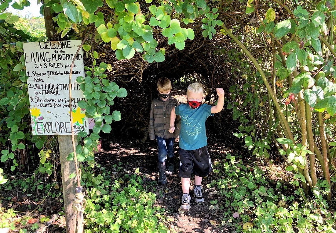 Kids at Oxbow Farm family adventure living playground vine tunnel