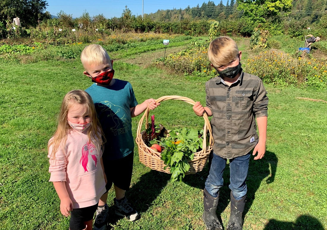 kids holding harvest basket at oxbow farm family adventure private covid-safe field trip