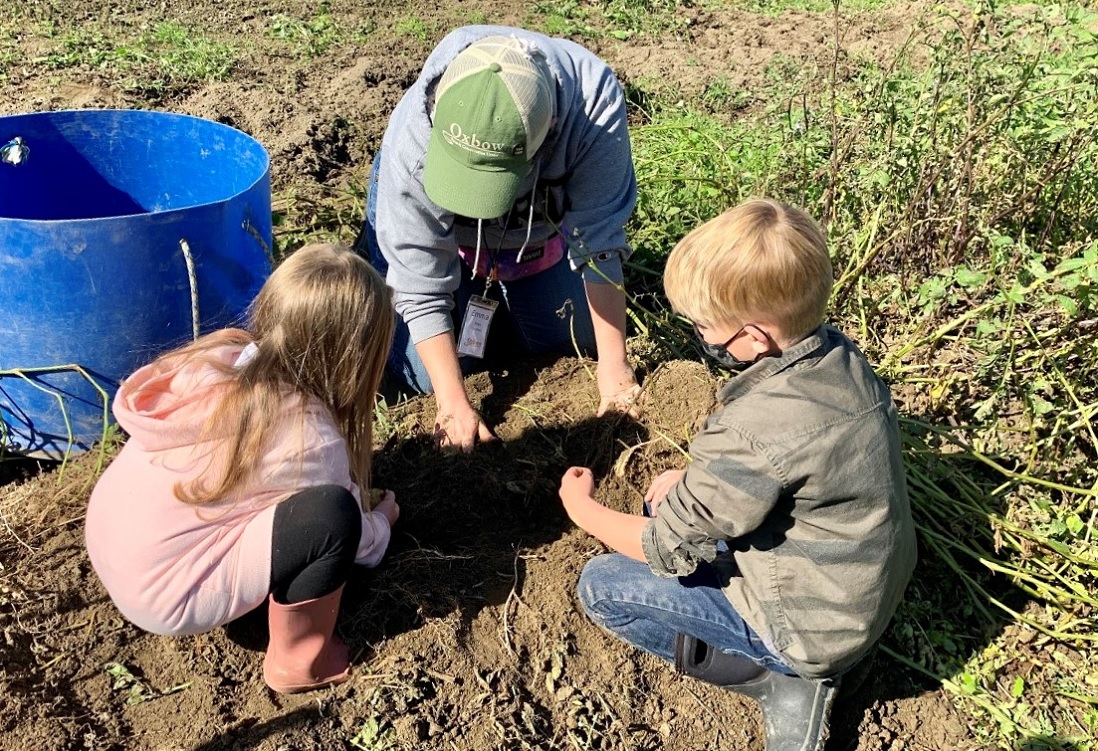 kids digging in the garden at oxbow farm and conservation center seattle area family field trip