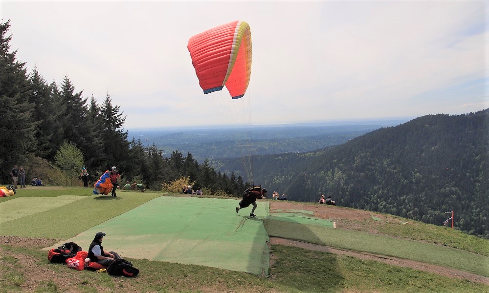 Paraglider launching from Poo Poo Point
